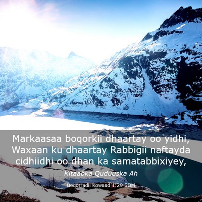 Picture 03 - Boqorradii Kowaad 1:29 SOM - Markaasaa boqorkii dhaartay oo yidhi, Waxaan ku - Bible Verse Picture