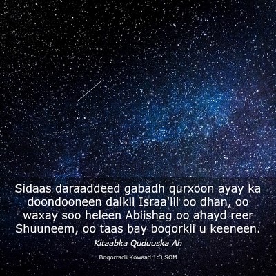 Picture 03 - Boqorradii Kowaad 1:3 SOM - Sidaas daraaddeed gabadh qurxoon ayay ka - Bible Verse Picture