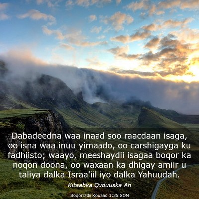 Picture 03 - Boqorradii Kowaad 1:35 SOM - Dabadeedna waa inaad soo raacdaan isaga, oo isna - Bible Verse Picture