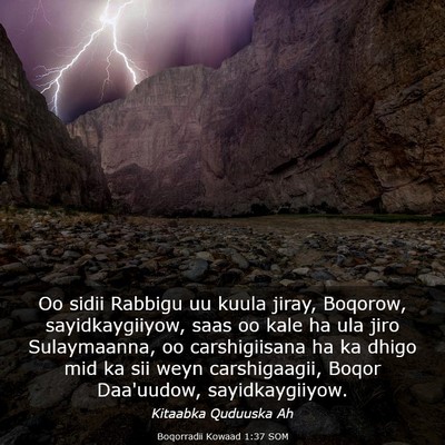 Picture 03 - Boqorradii Kowaad 1:37 SOM - Oo sidii Rabbigu uu kuula jiray, Boqorow, - Bible Verse Picture