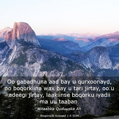 Picture 03 - Boqorradii Kowaad 1:4 SOM - Oo gabadhuna aad bay u qurxoonayd, oo boqorkiina - Bible Verse Picture