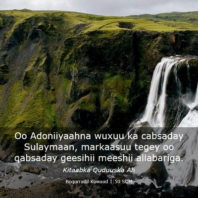 Picture 03 - Boqorradii Kowaad 1:50 SOM - Oo Adoniiyaahna wuxuu ka cabsaday Sulaymaan, - Bible Verse Picture