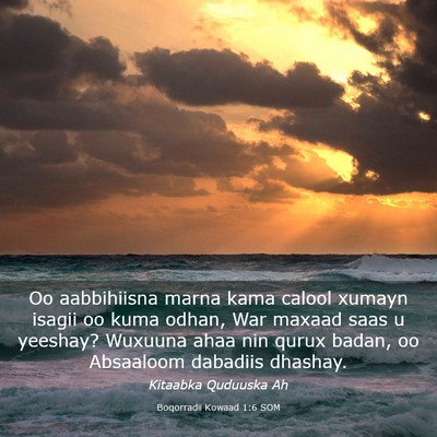 Picture 03 - Boqorradii Kowaad 1:6 SOM - Oo aabbihiisna marna kama calool xumayn isagii oo - Bible Verse Picture