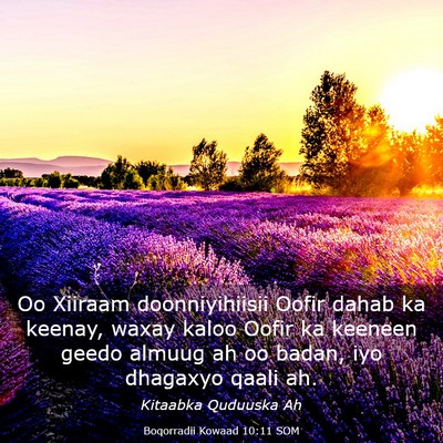 Picture 03 - Boqorradii Kowaad 10:11 SOM - Oo Xiiraam doonniyihiisii Oofir dahab ka keenay, - Bible Verse Picture