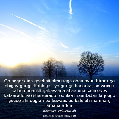 Picture 03 - Boqorradii Kowaad 10:12 SOM - Oo boqorkiina geedihii almuugga ahaa ayuu tiirar - Bible Verse Picture