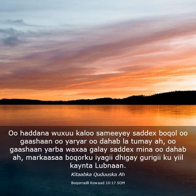 Picture 03 - Boqorradii Kowaad 10:17 SOM - Oo haddana wuxuu kaloo sameeyey saddex boqol oo - Bible Verse Picture