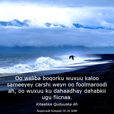 Picture 03 - Boqorradii Kowaad 10:18 SOM - Oo weliba boqorku wuxuu kaloo sameeyey carshi - Bible Verse Picture