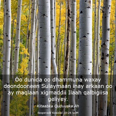 Picture 03 - Boqorradii Kowaad 10:24 SOM - Oo dunida oo dhammuna waxay doondooneen Sulaymaan - Bible Verse Picture