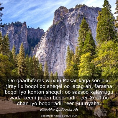 Picture 03 - Boqorradii Kowaad 10:29 SOM - Oo gaadhifaras wuxuu Masar kaga soo bixi jiray - Bible Verse Picture
