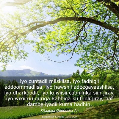 Picture 03 - Boqorradii Kowaad 10:5 SOM - iyo cuntadii miiskiisa, iyo fadhigii - Bible Verse Picture
