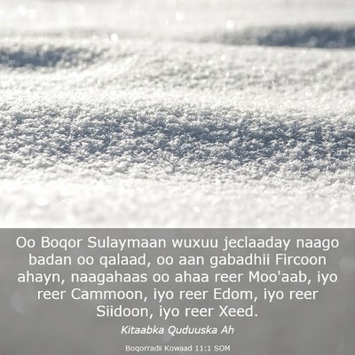 Picture 03 - Boqorradii Kowaad 11:1 SOM - Oo Boqor Sulaymaan wuxuu jeclaaday naago badan oo - Bible Verse Picture