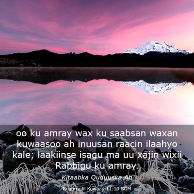 Picture 03 - Boqorradii Kowaad 11:10 SOM - oo ku amray wax ku saabsan waxan kuwaasoo ah - Bible Verse Picture