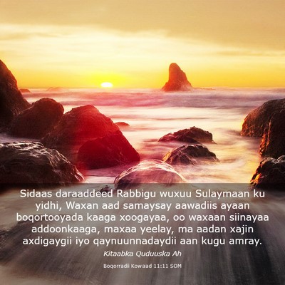 Picture 03 - Boqorradii Kowaad 11:11 SOM - Sidaas daraaddeed Rabbigu wuxuu Sulaymaan ku - Bible Verse Picture