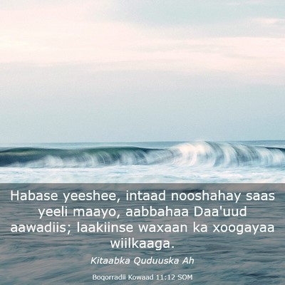 Picture 03 - Boqorradii Kowaad 11:12 SOM - Habase yeeshee, intaad nooshahay saas yeeli - Bible Verse Picture