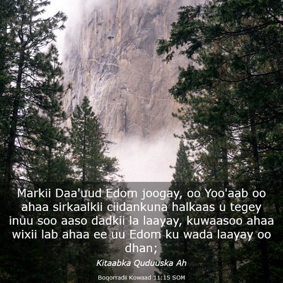 Picture 03 - Boqorradii Kowaad 11:15 SOM - Markii Daa'uud Edom joogay, oo Yoo'aab oo ahaa - Bible Verse Picture
