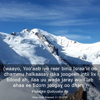 Picture 03 - Boqorradii Kowaad 11:16 SOM - (waayo, Yoo'aab iyo reer binu Israa'iil oo dhammu - Bible Verse Picture