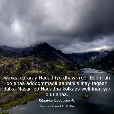 Picture 03 - Boqorradii Kowaad 11:17 SOM - waxaa cararay Hadad iyo dhawr reer Edom ah oo - Bible Verse Picture