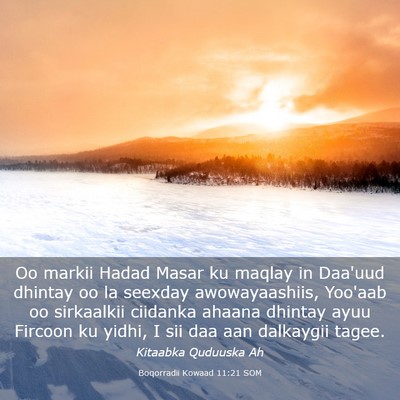 Picture 03 - Boqorradii Kowaad 11:21 SOM - Oo markii Hadad Masar ku maqlay in Daa'uud - Bible Verse Picture