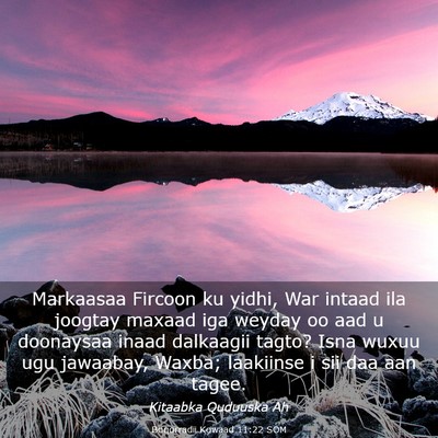 Picture 03 - Boqorradii Kowaad 11:22 SOM - Markaasaa Fircoon ku yidhi, War intaad ila - Bible Verse Picture