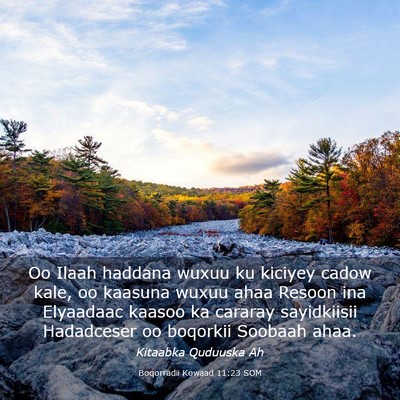 Picture 03 - Boqorradii Kowaad 11:23 SOM - Oo Ilaah haddana wuxuu ku kiciyey cadow kale, oo - Bible Verse Picture