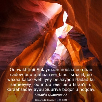 Picture 03 - Boqorradii Kowaad 11:25 SOM - Oo wakhtigii Sulaymaan noolaa oo dhan cadow buu u - Bible Verse Picture