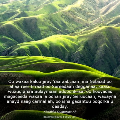Picture 03 - Boqorradii Kowaad 11:26 SOM - Oo waxaa kaloo jiray Yaaraabcaam ina Nebaad oo - Bible Verse Picture