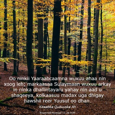 Picture 03 - Boqorradii Kowaad 11:28 SOM - Oo ninkii Yaaraabcaamna wuxuu ahaa nin xoog leh; - Bible Verse Picture