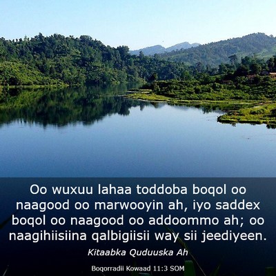 Picture 03 - Boqorradii Kowaad 11:3 SOM - Oo wuxuu lahaa toddoba boqol oo naagood oo - Bible Verse Picture