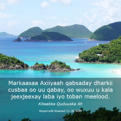 Picture 03 - Boqorradii Kowaad 11:30 SOM - Markaasaa Axiiyaah qabsaday dharkii cusbaa oo uu - Bible Verse Picture