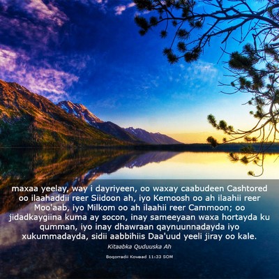 Picture 03 - Boqorradii Kowaad 11:33 SOM - maxaa yeelay, way i dayriyeen, oo waxay caabudeen - Bible Verse Picture