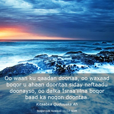 Picture 03 - Boqorradii Kowaad 11:37 SOM - Oo waan ku qaadan doonaa, oo waxaad boqor u ahaan - Bible Verse Picture