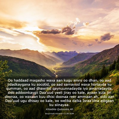 Picture 03 - Boqorradii Kowaad 11:38 SOM - Oo haddaad maqasho waxa aan kugu amro oo dhan, oo - Bible Verse Picture