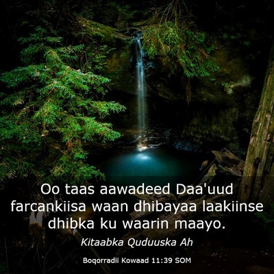 Picture 03 - Boqorradii Kowaad 11:39 SOM - Oo taas aawadeed Daa'uud farcankiisa waan - Bible Verse Picture