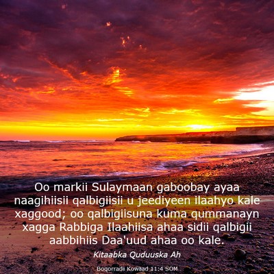 Picture 03 - Boqorradii Kowaad 11:4 SOM - Oo markii Sulaymaan gaboobay ayaa naagihiisii - Bible Verse Picture