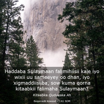 Picture 03 - Boqorradii Kowaad 11:41 SOM - Haddaba Sulaymaan falimihiisii kale iyo wixii uu - Bible Verse Picture