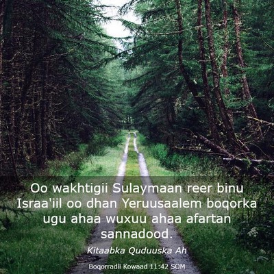 Picture 03 - Boqorradii Kowaad 11:42 SOM - Oo wakhtigii Sulaymaan reer binu Israa'iil oo - Bible Verse Picture