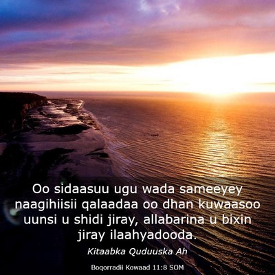 Picture 03 - Boqorradii Kowaad 11:8 SOM - Oo sidaasuu ugu wada sameeyey naagihiisii - Bible Verse Picture