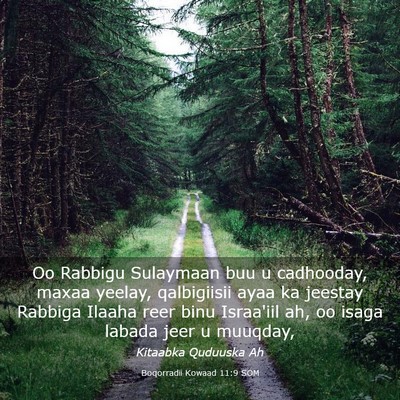 Picture 03 - Boqorradii Kowaad 11:9 SOM - Oo Rabbigu Sulaymaan buu u cadhooday, maxaa - Bible Verse Picture