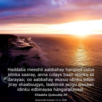 Picture 03 - Boqorradii Kowaad 12:11 SOM - Haddaba meeshii aabbahay harqood culus idinka - Bible Verse Picture