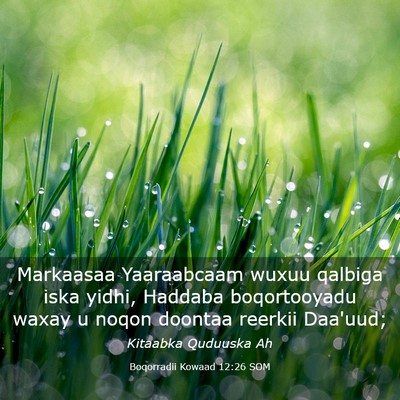 Picture 03 - Boqorradii Kowaad 12:26 SOM - Markaasaa Yaaraabcaam wuxuu qalbiga iska yidhi, - Bible Verse Picture