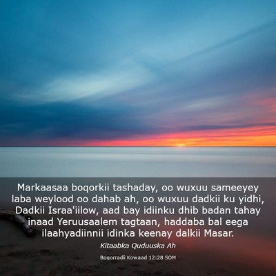 Picture 03 - Boqorradii Kowaad 12:28 SOM - Markaasaa boqorkii tashaday, oo wuxuu sameeyey - Bible Verse Picture