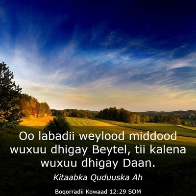 Picture 03 - Boqorradii Kowaad 12:29 SOM - Oo labadii weylood middood wuxuu dhigay Beytel, - Bible Verse Picture