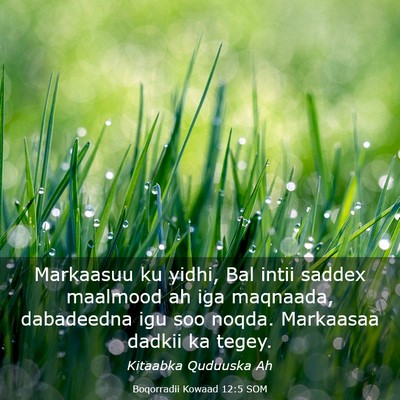 Picture 03 - Boqorradii Kowaad 12:5 SOM - Markaasuu ku yidhi, Bal intii saddex maalmood ah - Bible Verse Picture