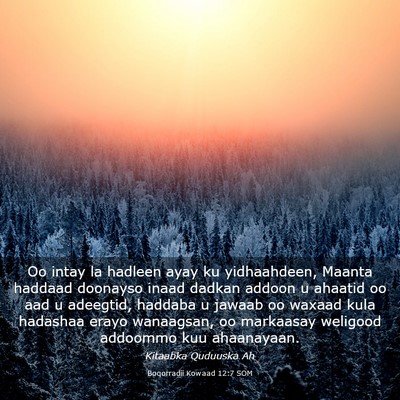 Picture 03 - Boqorradii Kowaad 12:7 SOM - Oo intay la hadleen ayay ku yidhaahdeen, Maanta - Bible Verse Picture