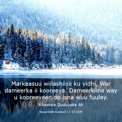 Picture 03 - Boqorradii Kowaad 13:13 SOM - Markaasuu wiilashiisii ku yidhi, War dameerka ii - Bible Verse Picture