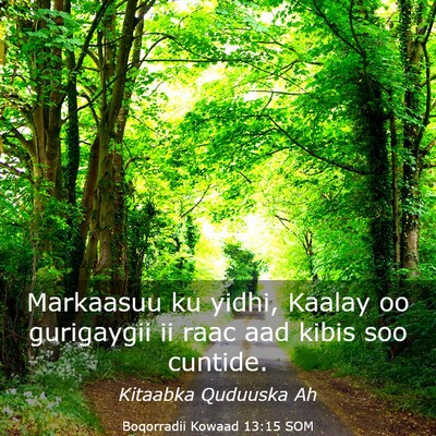 Picture 03 - Boqorradii Kowaad 13:15 SOM - Markaasuu ku yidhi, Kaalay oo gurigaygii ii raac - Bible Verse Picture