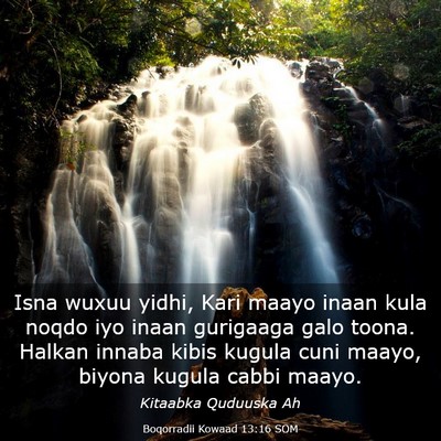 Picture 03 - Boqorradii Kowaad 13:16 SOM - Isna wuxuu yidhi, Kari maayo inaan kula noqdo iyo - Bible Verse Picture