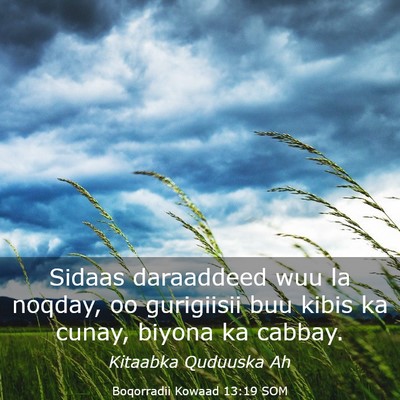 Picture 03 - Boqorradii Kowaad 13:19 SOM - Sidaas daraaddeed wuu la noqday, oo gurigiisii - Bible Verse Picture