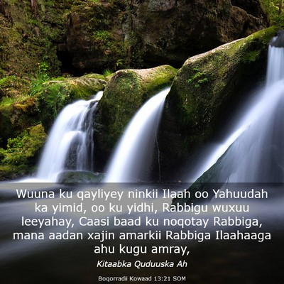 Picture 03 - Boqorradii Kowaad 13:21 SOM - Wuuna ku qayliyey ninkii Ilaah oo Yahuudah ka - Bible Verse Picture