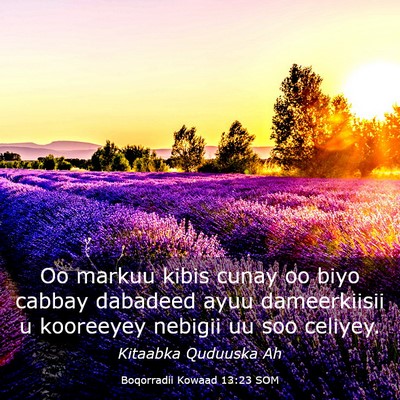 Picture 03 - Boqorradii Kowaad 13:23 SOM - Oo markuu kibis cunay oo biyo cabbay dabadeed - Bible Verse Picture